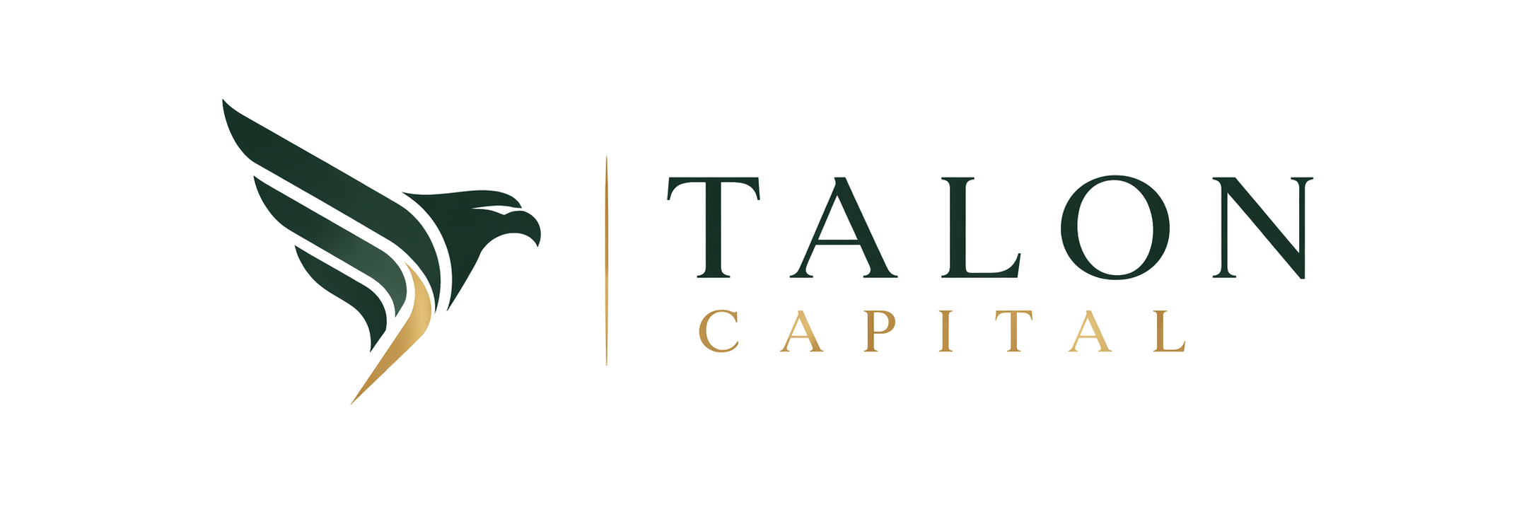 Talon Capital logo